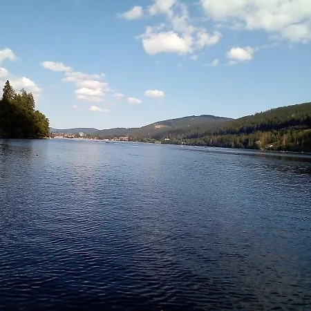 Schwarzwald - Appartments * Titisee-Neustadt