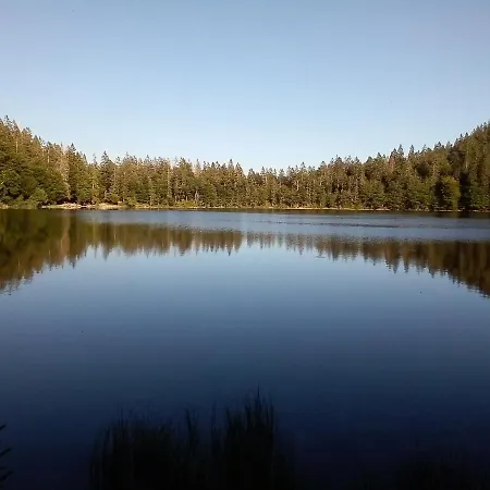 شقة Schwarzwald - Appartments *