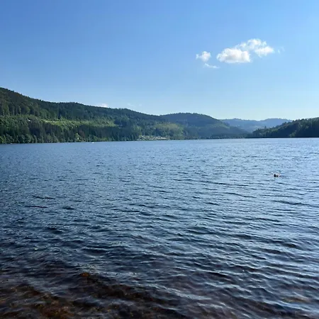 Schwarzwald - Appartments Titisee-Neustadt
