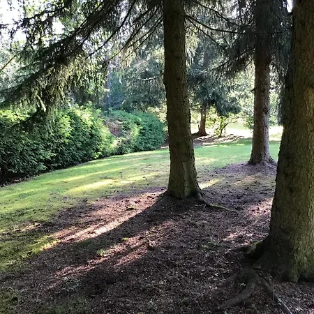 شقة Schwarzwald - Appartments تيتيسي نيوستادت