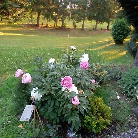 Schwarzwald - Appartments