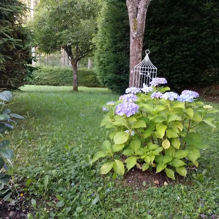 Schwarzwald - Appartments * تيتيسي نيوستادت