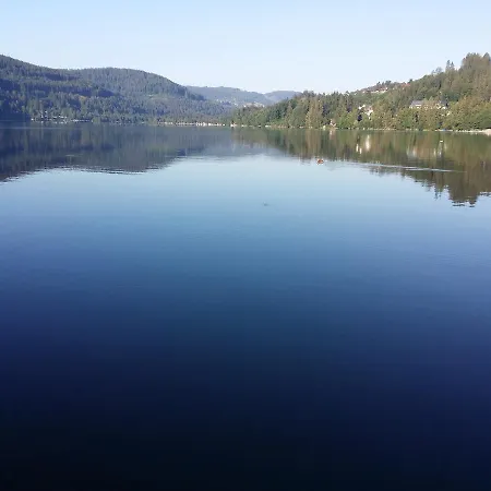 Schwarzwald - Appartments شقة تيتيسي نيوستادت