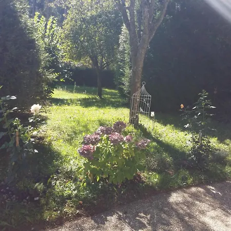 Schwarzwald - Appartments تيتيسي نيوستادت