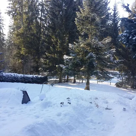 شقة Schwarzwald - Appartments تيتيسي نيوستادت