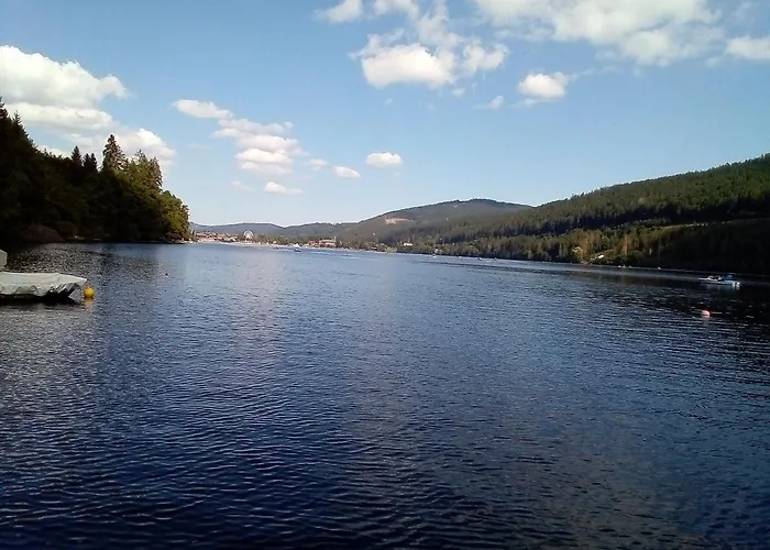 Schwarzwald - Appartments * Titisee-Neustadt