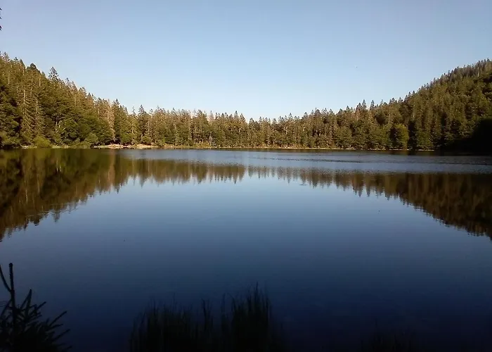 Appartamento Schwarzwald - Appartments *