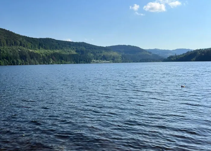 Schwarzwald - Appartments Titisee-Neustadt