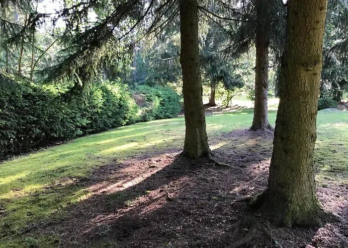 Appartamento Schwarzwald - Appartments Titisee-Neustadt