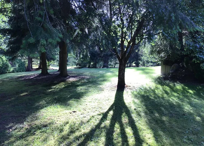 Schwarzwald - Appartments *