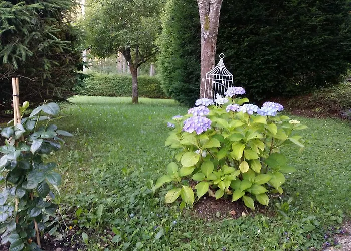 Schwarzwald - Appartments * Titisee-Neustadt