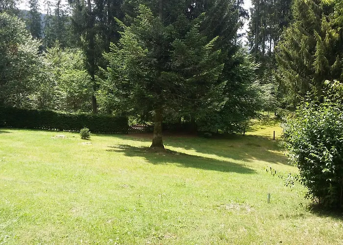 Appartamento Schwarzwald - Appartments Titisee-Neustadt