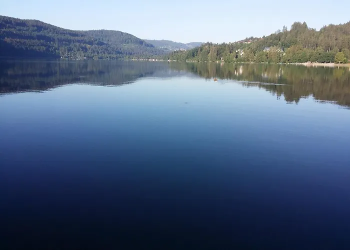 Schwarzwald - Appartments Appartamento Titisee-Neustadt